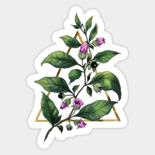 Deadly nightshade Sticker